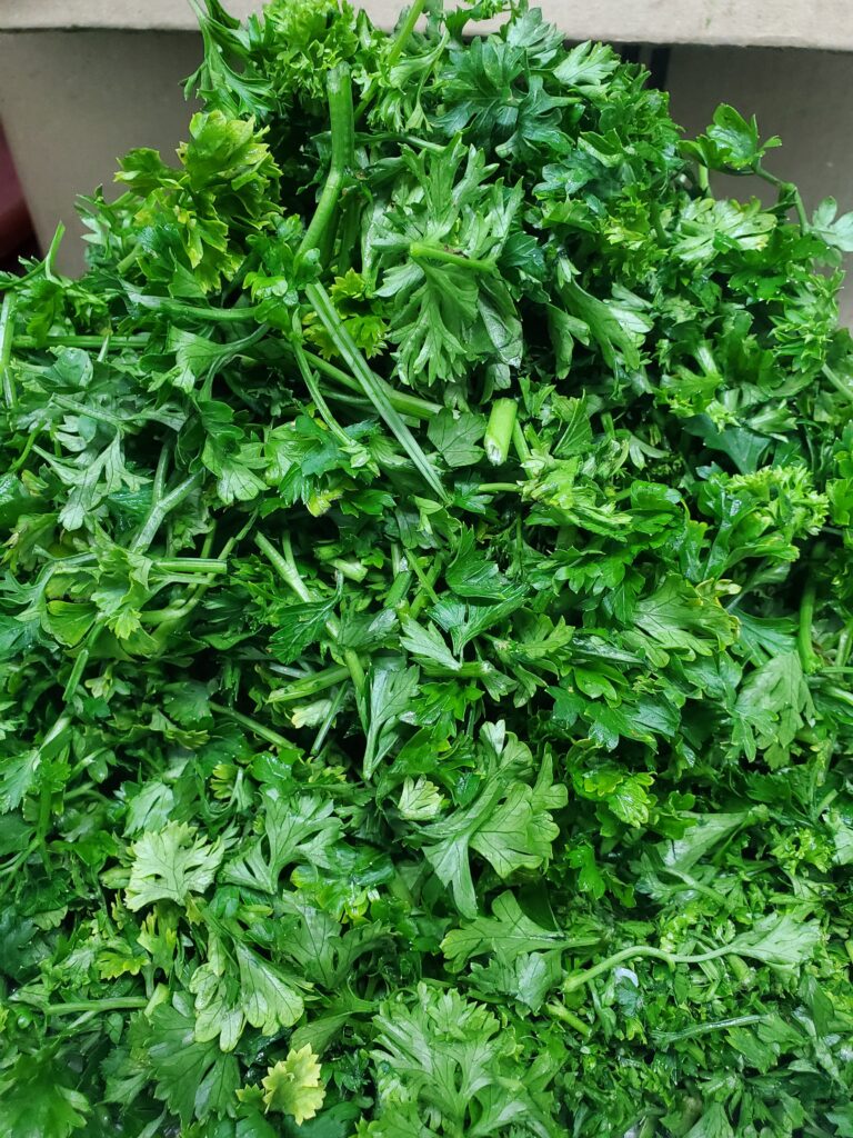 Parsley leaves 