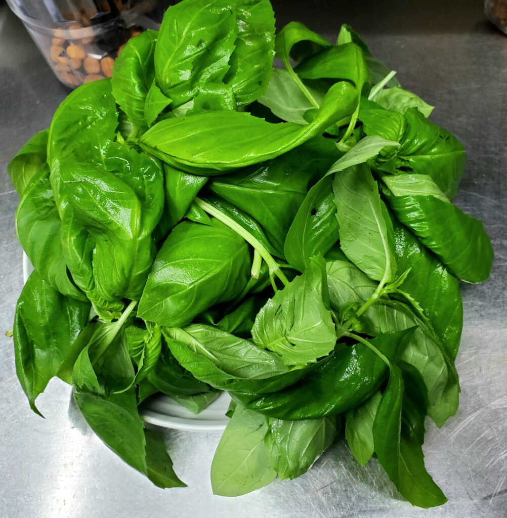 Pasto, basil leaves 